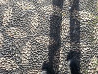 20171112 133025  texture in Catania