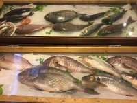 IMG 4108  for dinner