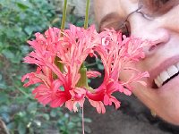 20171113 111636  amazing floral structure