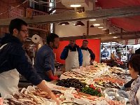 20171107 110832  back to the fish