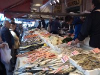 IMG 3879  fish, but from where?