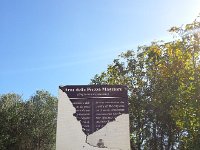20171108 120602  the old center of the city is a scrub forest