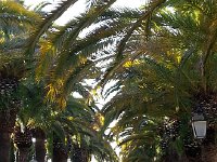 20171108 152545  lovely park at the end of the city