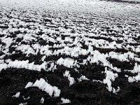 20171109 130045  rime field