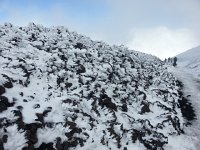 20171109 130913  the rime was amazing!