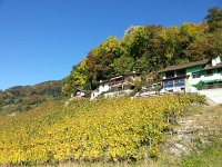 20171011 142850  vineyards above the highway