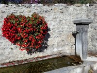 20171011 143745  begonia and fountain