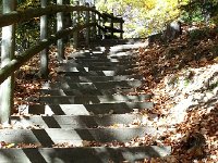 20171011 152047  steps to the belvedere