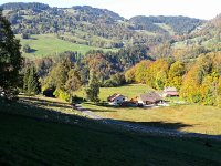 20171011 154610  Vallon de Villard with sheep
