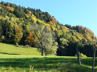 20171011 160011  lower slopes of Le Cubly
