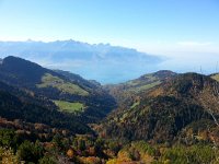 20171014 124228  emphasizing the forests