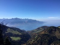 IMG 3604  view from the garden wall