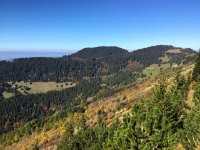 IMG 3605  La Folly and le Molard