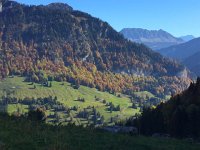 IMG 3613  fall colors