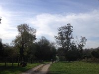 IMG 5934  dropping down into the marais