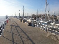 20171102 093539  the water is so muddy that it is hard to imagine sailing on it