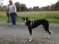 IMG 5922  Joe on the leash