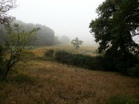 20171028 113737  outside the mist persists