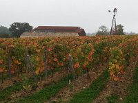 20171028 125821  pastorale