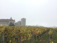 IMG 3672  St-Hippolyte sous brouillard