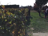 IMG 3699  Another guided tour, this one to a winery