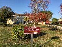 IMG 3710  two domains right next to each other