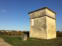 IMG 3714  14th century