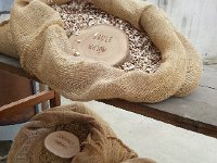 20171029 122551  Biodynamique requires spraying with extracts