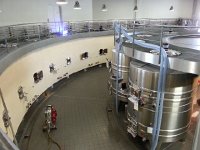 20171029 123125  Using gravity with a rotoring conveyor belt to fill the outside vats