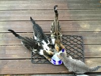 IMG 3720  milk lovers