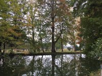 IMG 3723  Beautiful grounds