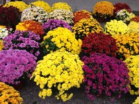 IMG 5928  bike location open on Sunday...