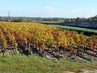 20171030 125339  Typical Bodelais landscape