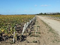 20171030 130722  a production landscape