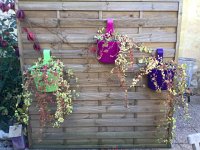 IMG 3758  patio decor