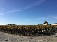 IMG 3766  production