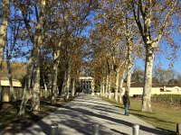 IMG 3770  line the road to the chateau