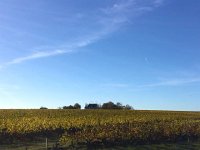 IMG 3782  just another chateau in the distance