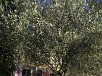 IMG 3787  back at our hotel to pick up our bags