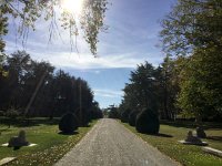 IMG 3793  next stop, Ch. Mouton Rothschild with its gardens