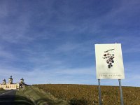 IMG 3795  beyond that, we entered the domain of St-Estephe, with its different terroirs symbolized by stones