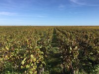 IMG 3804  production!