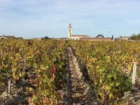 IMG 3810  the village is not far