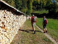 20171007 130952  woodpile