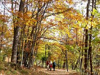 20171007 140309  fall colors