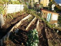 20171012 173329  12 October - garden wall repair