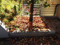 20171013 105419  glorious debris