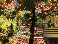 20171013 105430  the best art ever