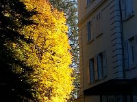 20171015 162733  15 October next to the Righi Vaudoise in Gion