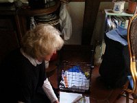 20171024 172641  Robin recycling